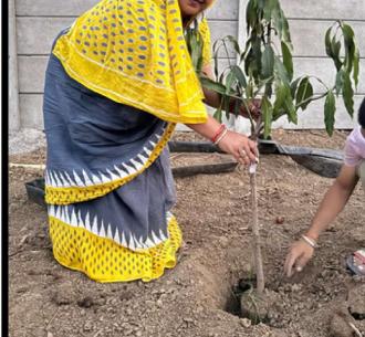 Gaushala Seva and Tree Plantation Drive